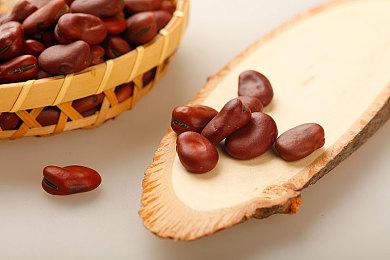 《无主之地4》开发者谈合作模式 改善进化更方便